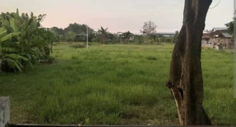 Dijual Tanah Kauman Manyar, Gresik