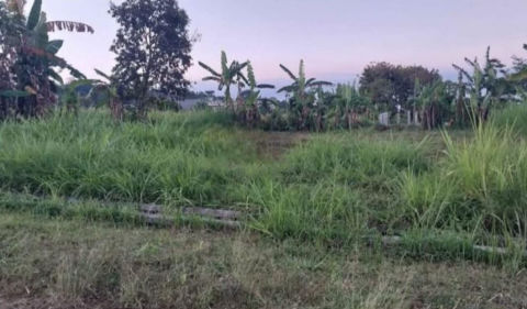 Dijual Tanah Villa Navy Residence Lawang Malang