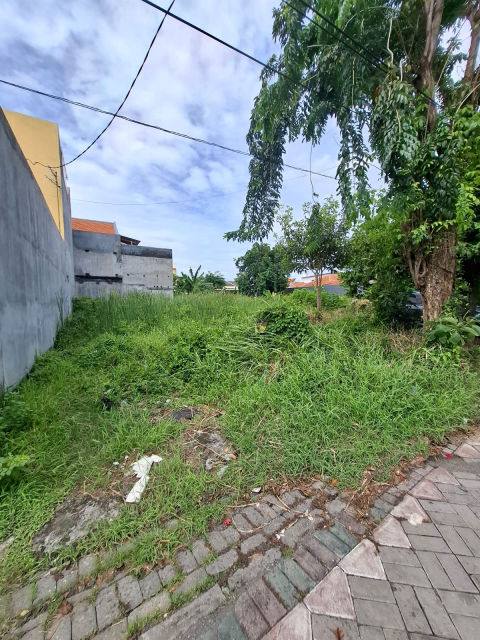 Dijual Tanah Jalan Kedinding