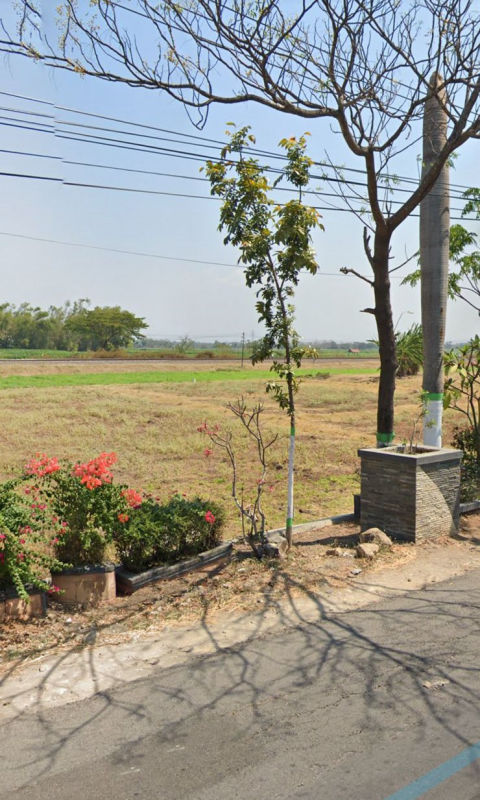 Dijual Tanah Jalan Provinsi Nganjuk