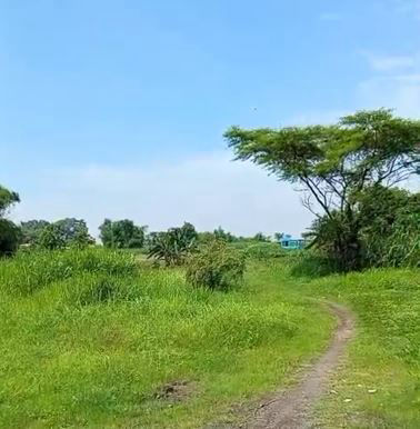 Dijual Tanah Komersial Kedamean