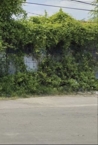 Dijual Tanah Jalan Kejawan Putih Tambak