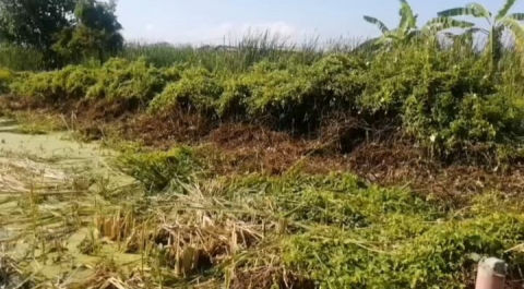 Dijual Tanah Jalan Rungkut