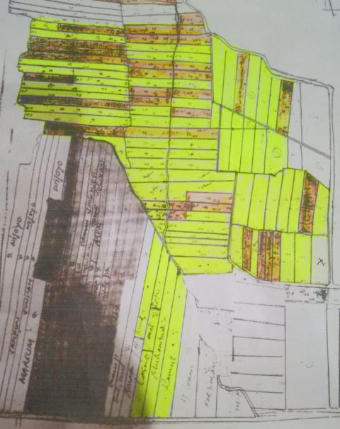 Dijual Tanah Jalan Palemwatu Menganti Gresik
