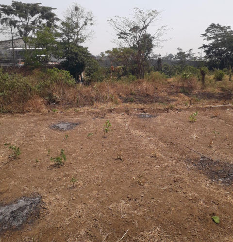 Dijual Tanah Industri Jalan Martopuro Purwosari