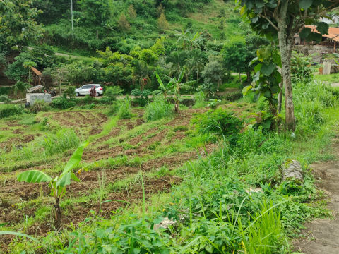 Dijual Tanah Jalan Raya Pacet