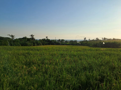 Dijual Tanah Pasut Tabanan
