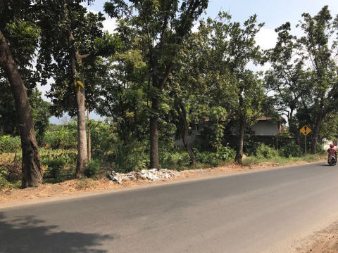 Dijual Tanah Cengkrong Pasrepan Pasuruan