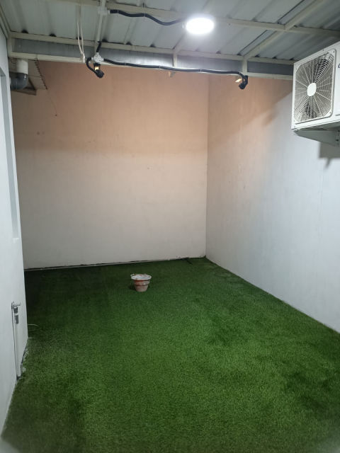Foto 4