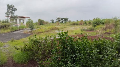 Disewa Tanah Jalan Sidoarjo