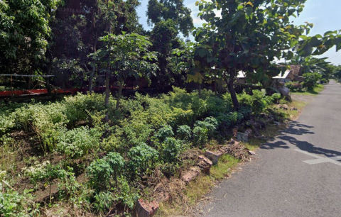 Dijual Tanah Desa Belimbing Kediri