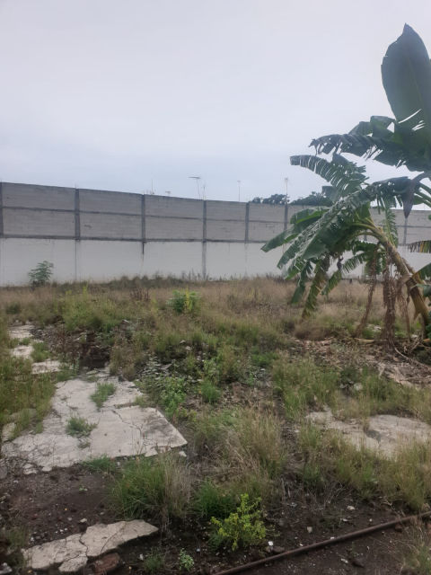 Dijual Tanah Teuku Umar Probolinggo