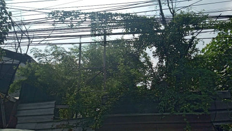 Dijual Tanah Raya Margomulyo