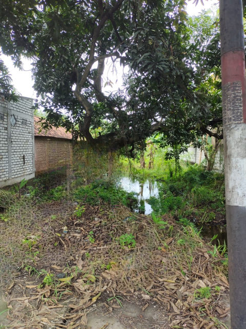 Dijual Tanah Desa Golokan, Sidayu Gresik