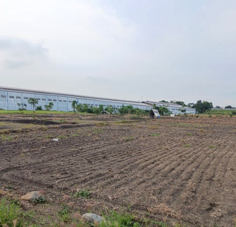 Dijual Tanah Industri Gresik Driyorejo