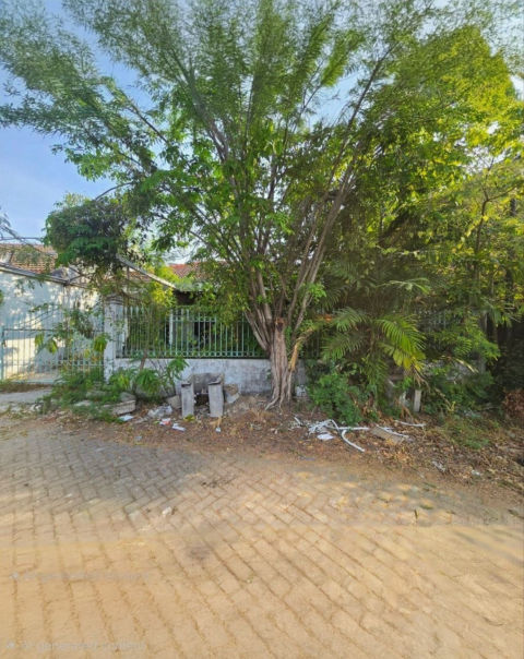 Dijual Rumah Hitung Tanah Klampis Semolo Timur