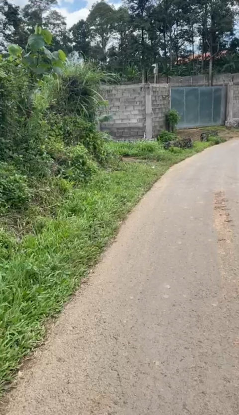 Dijual Tanah Kebun Desa Penanggungan Trawas Mojokerto