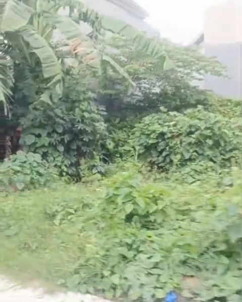 Dijual Tanah Gunung Anyar Tambak