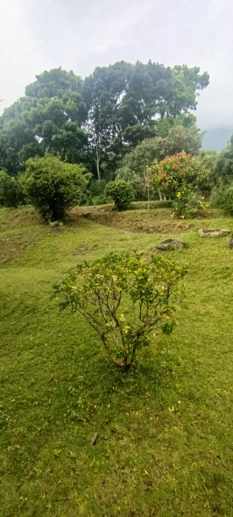 Foto 9