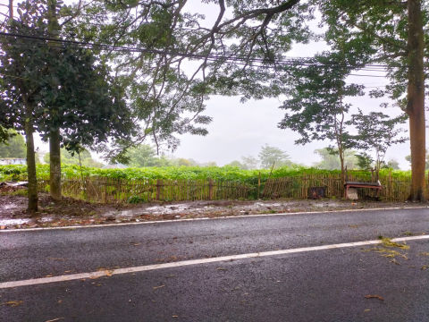 Dijual Tanah Jalan Oro Oro Ombo Batu