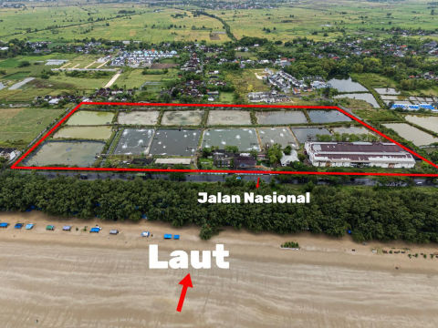 Dijual Tambak Udang Tuban