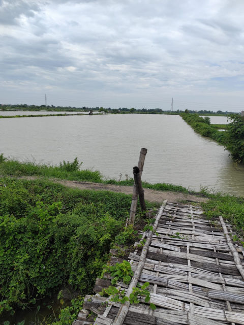 Dijual Tanah Tambak Beras Cerme Gresik