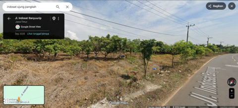 Dijual Tanah Kebun Desa Banyurip Ujungpangkah Gresik