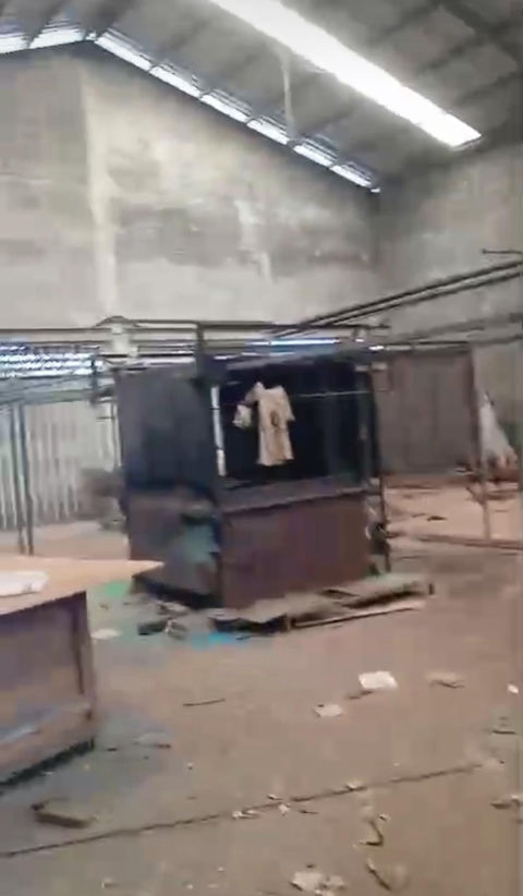 Foto 5