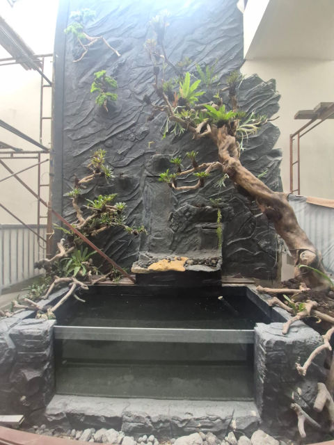 Foto 5