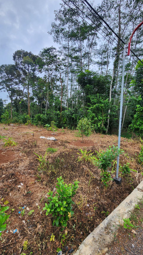 Dijual Lahan Tanah BSB Mijen Semarang