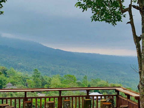 Dijual Tanah Jatiluwih Bali