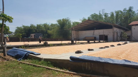 Foto 9