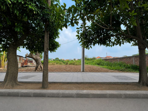 Dijual Tanah Raya Sememi