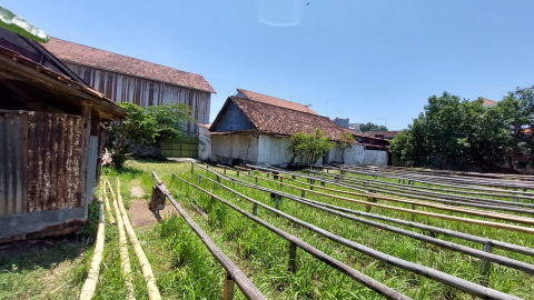 Foto 3