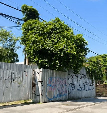 Dijual Tanah Komersial Jalan Putat Gede