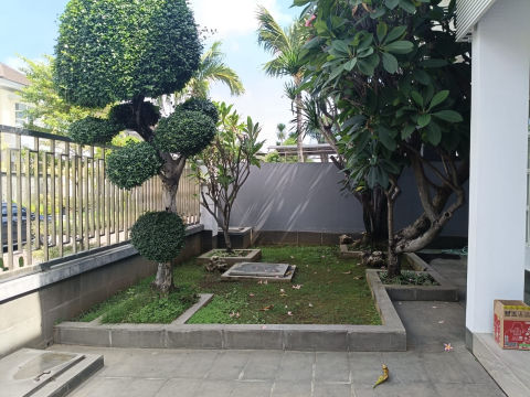 Foto 5