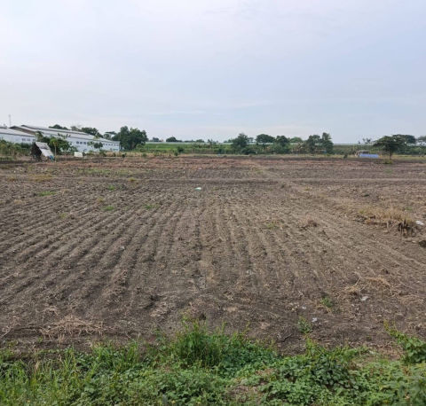 Dijual Tanah Industri Driyorejo Gresik