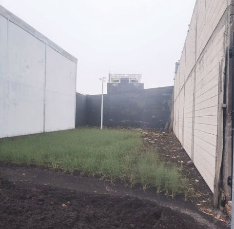Dijual Tanah Medokan Sawah Timur