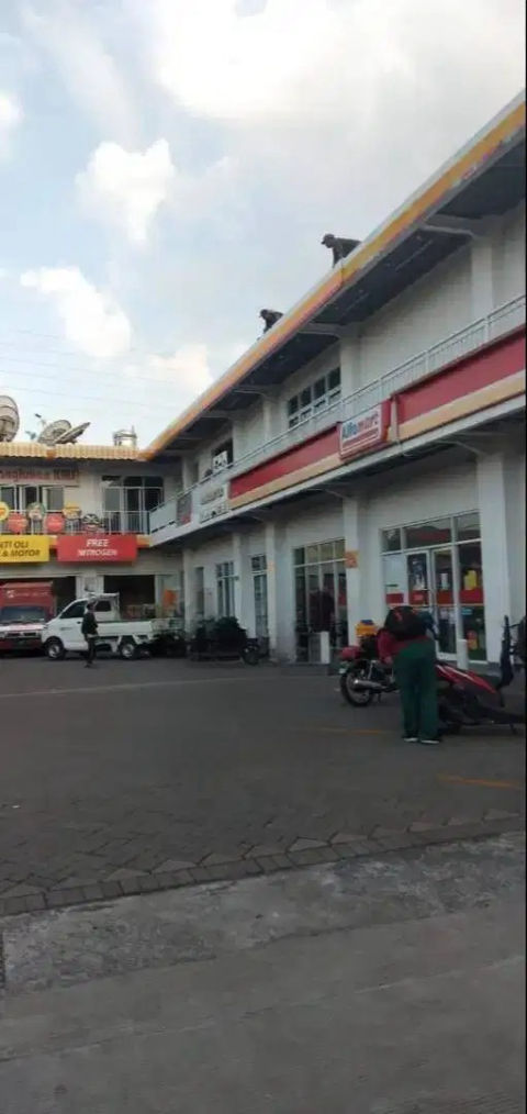 Dijual Komersial Jalan Raya Kalijudan