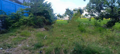 Dijual Tanah Kandangan, Cerme, Gresik