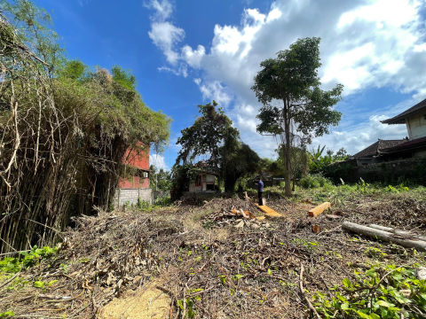 Dijual Tanah Jalan Andong Ubud Bali