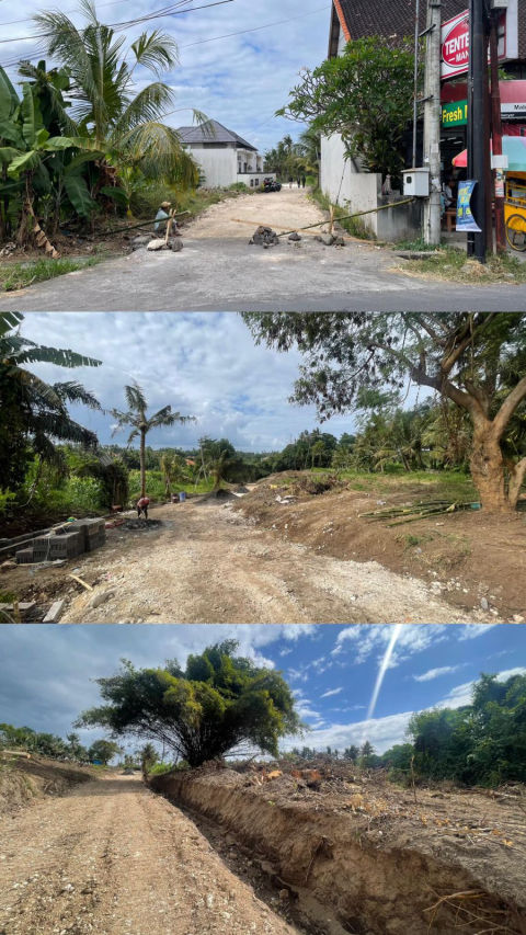 Dijual Tanah Saba Gianyar Bali