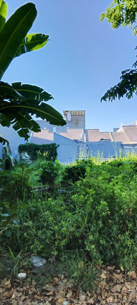 Disewa Tanah Bumi Marina Mas