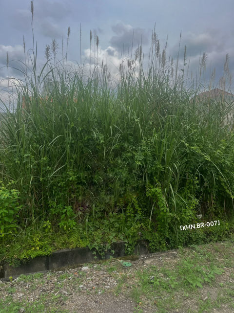 Dijual Tanah Kahuripan Nirwana, Sidoarjo