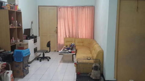 Foto 3