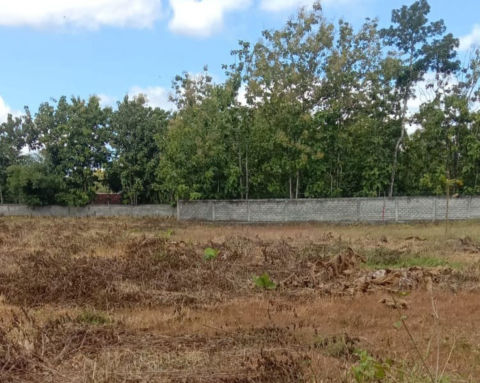 Dijual Tanah Wonosari Yogyakarta