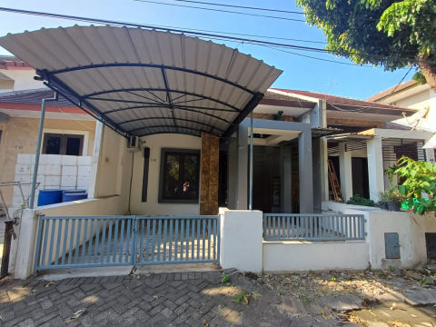 Disewa Rumah Koala Regency