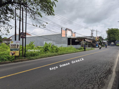 Dijual Tanah Jalan Raya Domas Gresik