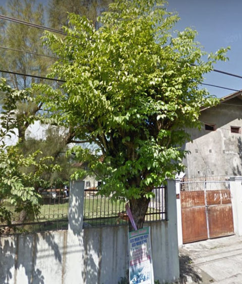 Dijual Tanah BWI Kota Batu