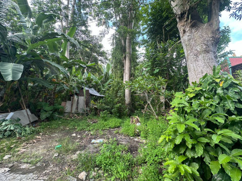 Dijual Tanah Jalan Blimbing Sari Kuta Selatan Bali